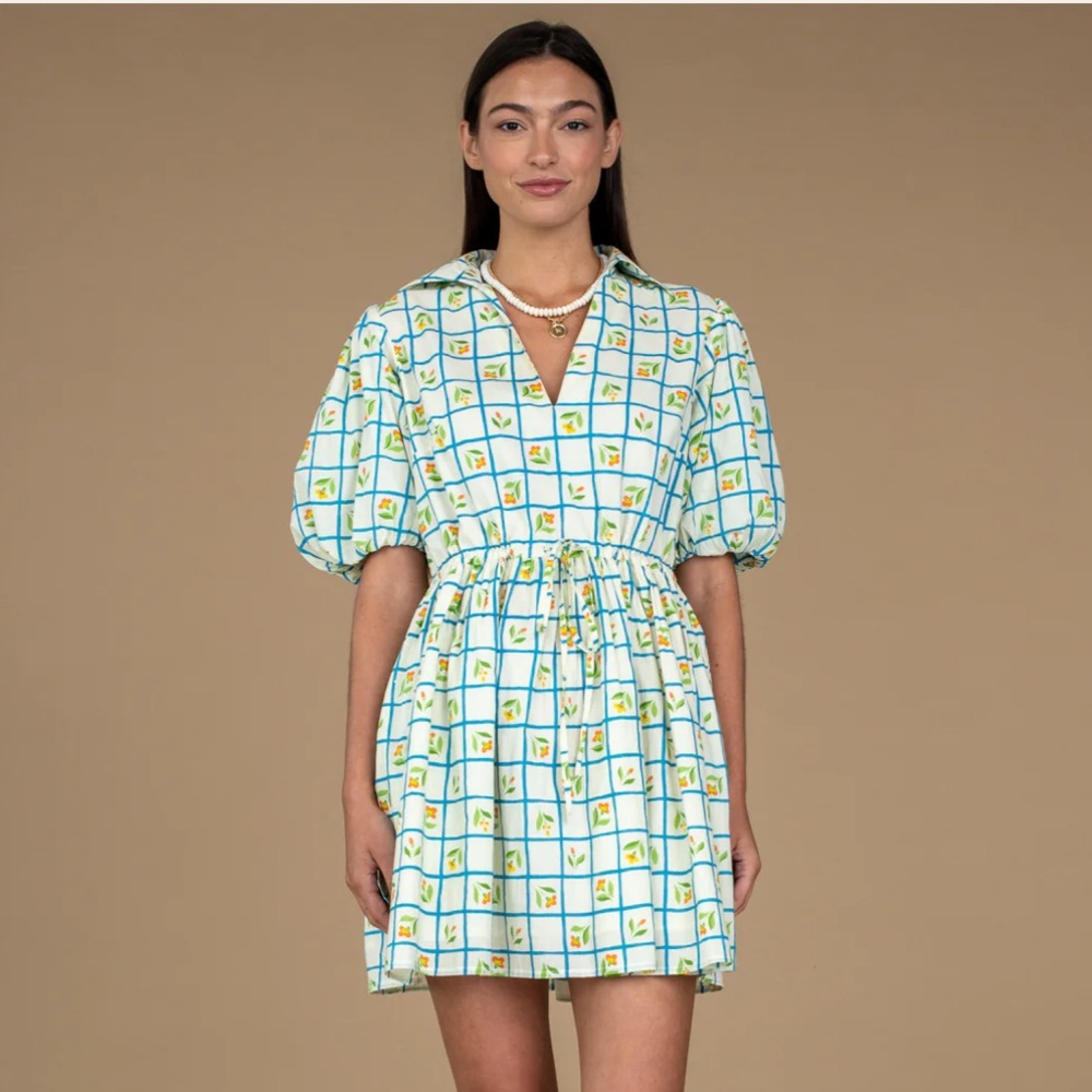 NWT! Olivia James Daphne Dress - size M